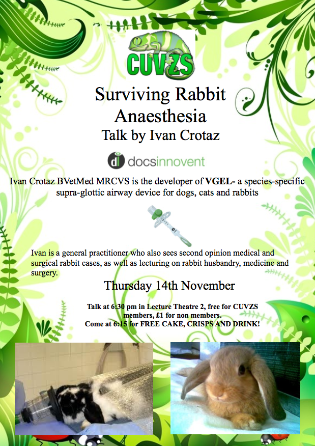 Rabbit Anaesthesia Talk